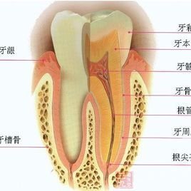 口腔黏膜疾病